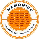 Namonics logo